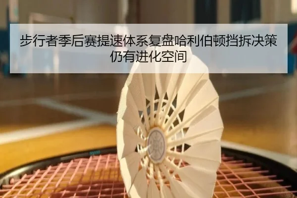 bu-xing-zhe-ji-hou-sai-ti-su-ti-xi-fu-pan-ha-li-bo-dun-dang-chai-jue-ce-reng-you-jin-hua-kong-jian-2-161.jpg